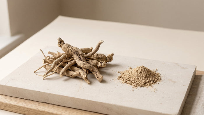 Getrocknete Ashwagandha-Wurzel und Wurzelpulver auf hellem Stein