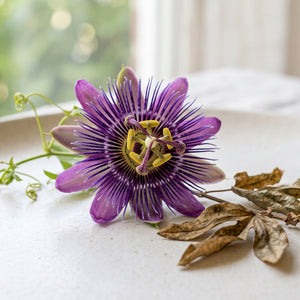 Passionsblumenextrakt