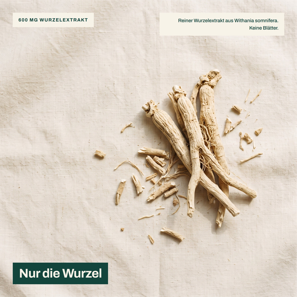 Wintersonne auf einem Leinensofa – NervaraLab Ashwagandha Gummies mit 25 µg Vitamin D2